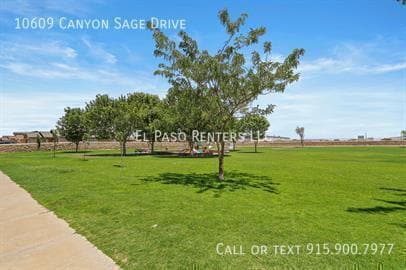 Building Photo - 10609 Canyon Sage Dr