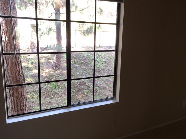 View through the bedroom window - 12015 Alta Carmel Court