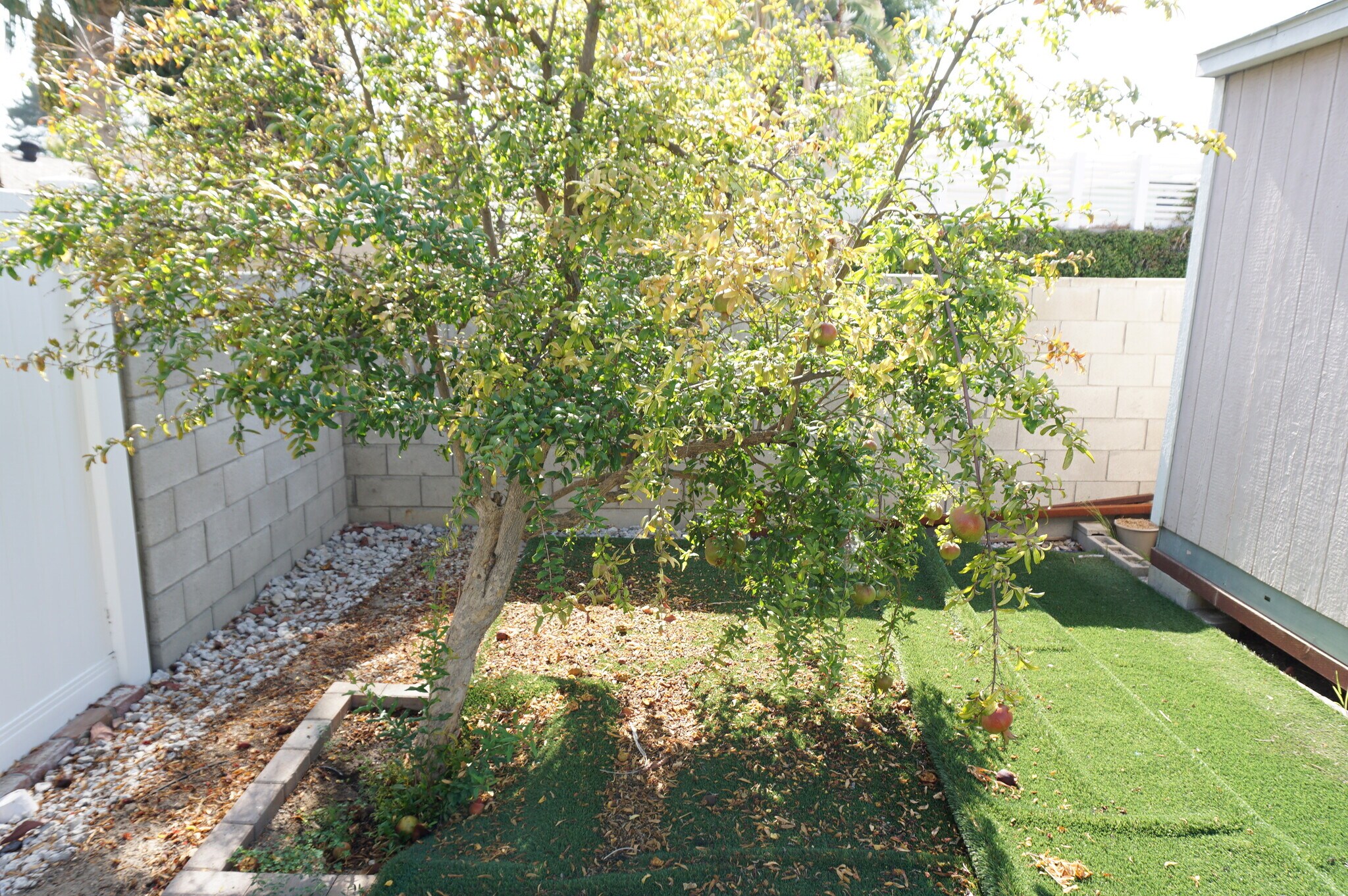 Building Photo - 5540 Balboa Blvd