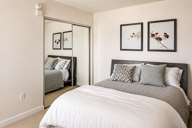 Building Photo - Condo High Rise - Lady Bird Lake Views