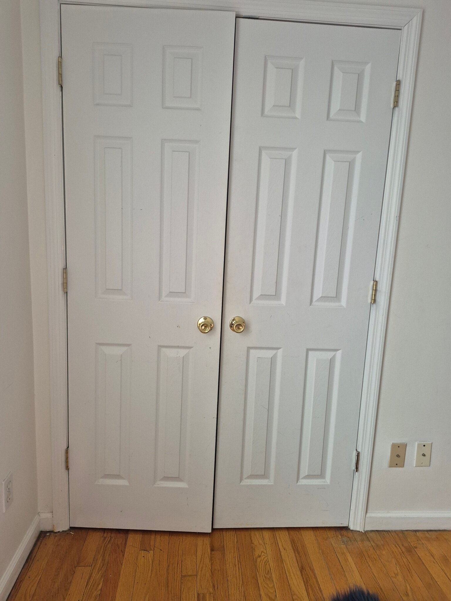 Building Photo - 49 Nelson Ave