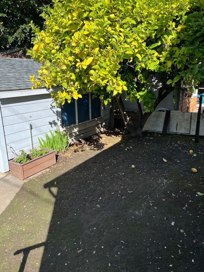 Building Photo - Beautiful Centrally Located Rockridge Craf...