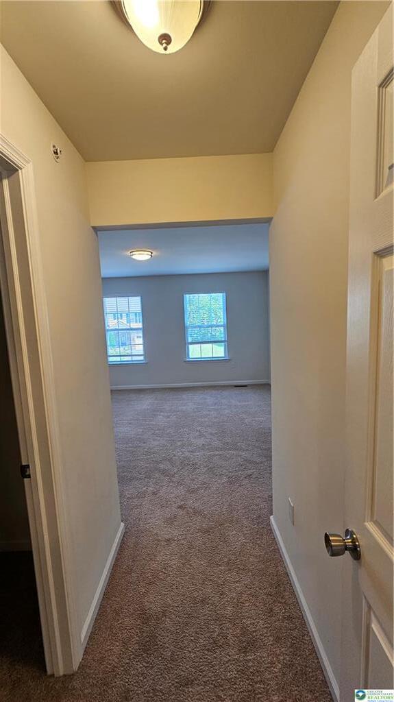 Building Photo - 1462 Black Forest Dr