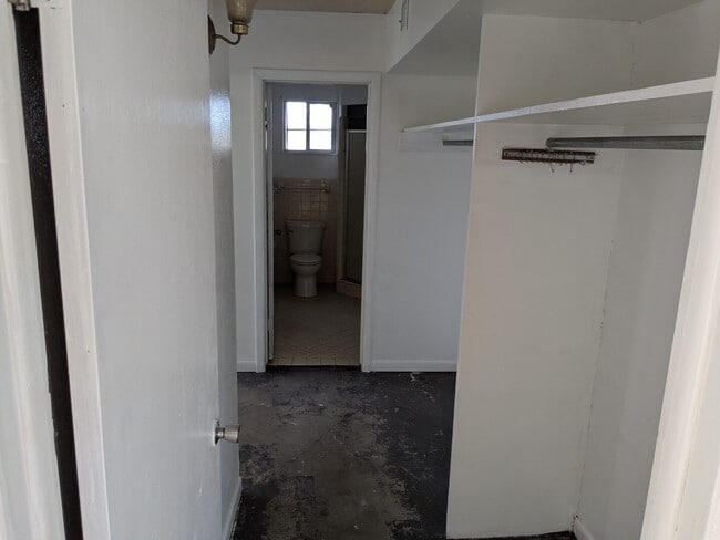 Building Photo - 1439 N Alamo Rd