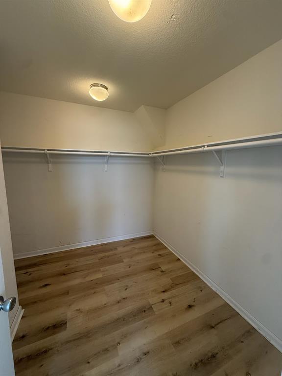 Building Photo - 2514 Hawthorn Park Ct