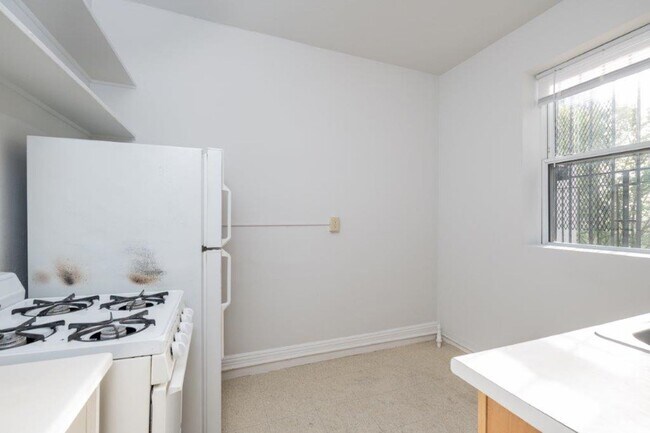 Building Photo - Large One Broom in Mission Hill/Longwood A...