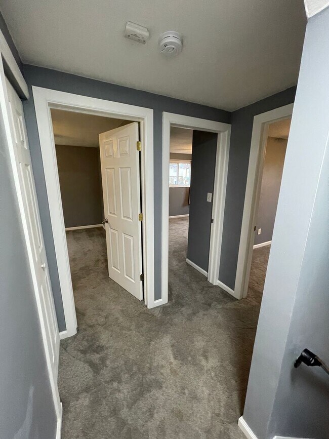 Building Photo - 260-262 Evaline St Pittsburgh PA 15235