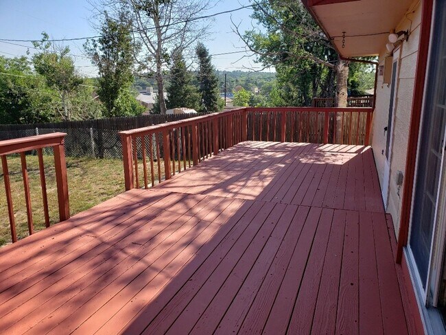 Building Photo - Very nice 4 bedroom, 3 bath home near Palmer Park