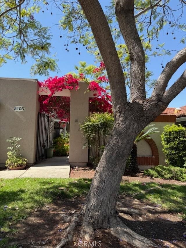 Building Photo - 5105 Avenida Despacio