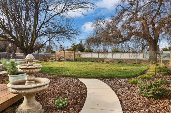 Backyard - 1177 Fay Cir