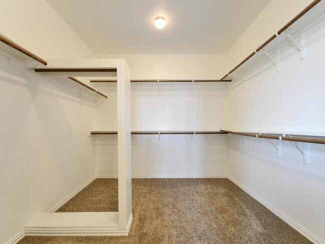 Building Photo - 2617 Creeping Vine Ct