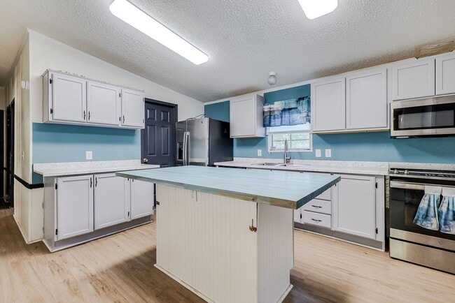Building Photo - Spacious 3 Bed 2 Bath Home on Large Lot - NO HOA!