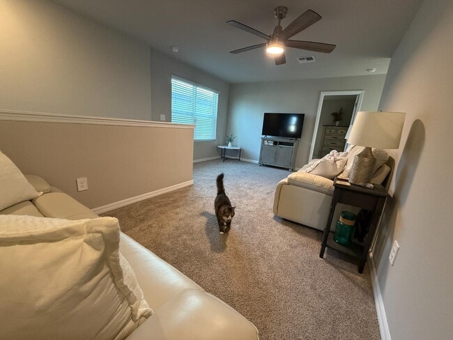 Building Photo - 3919 Radiant Mountain Dr