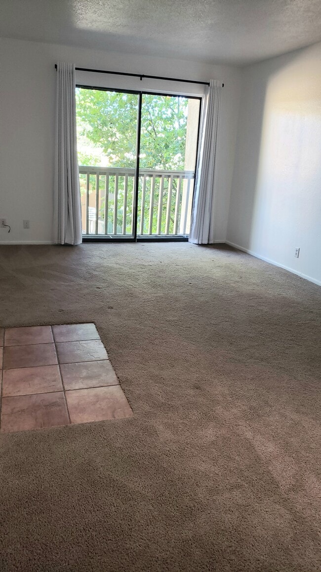 Building Photo - 941 Calle Mejia