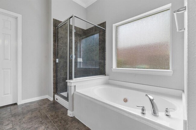Building Photo - 42 Ebony Oaks Pl
