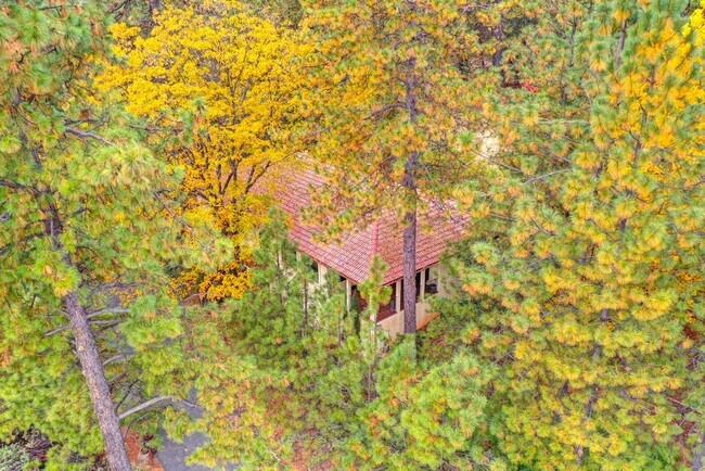 Building Photo - Foresthill