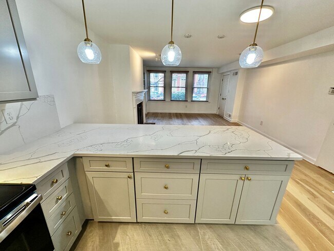 Building Photo - Captivating Capitol Hill Barracks Row Renovated 2 Bedroom Apt w/ Parking & Patio