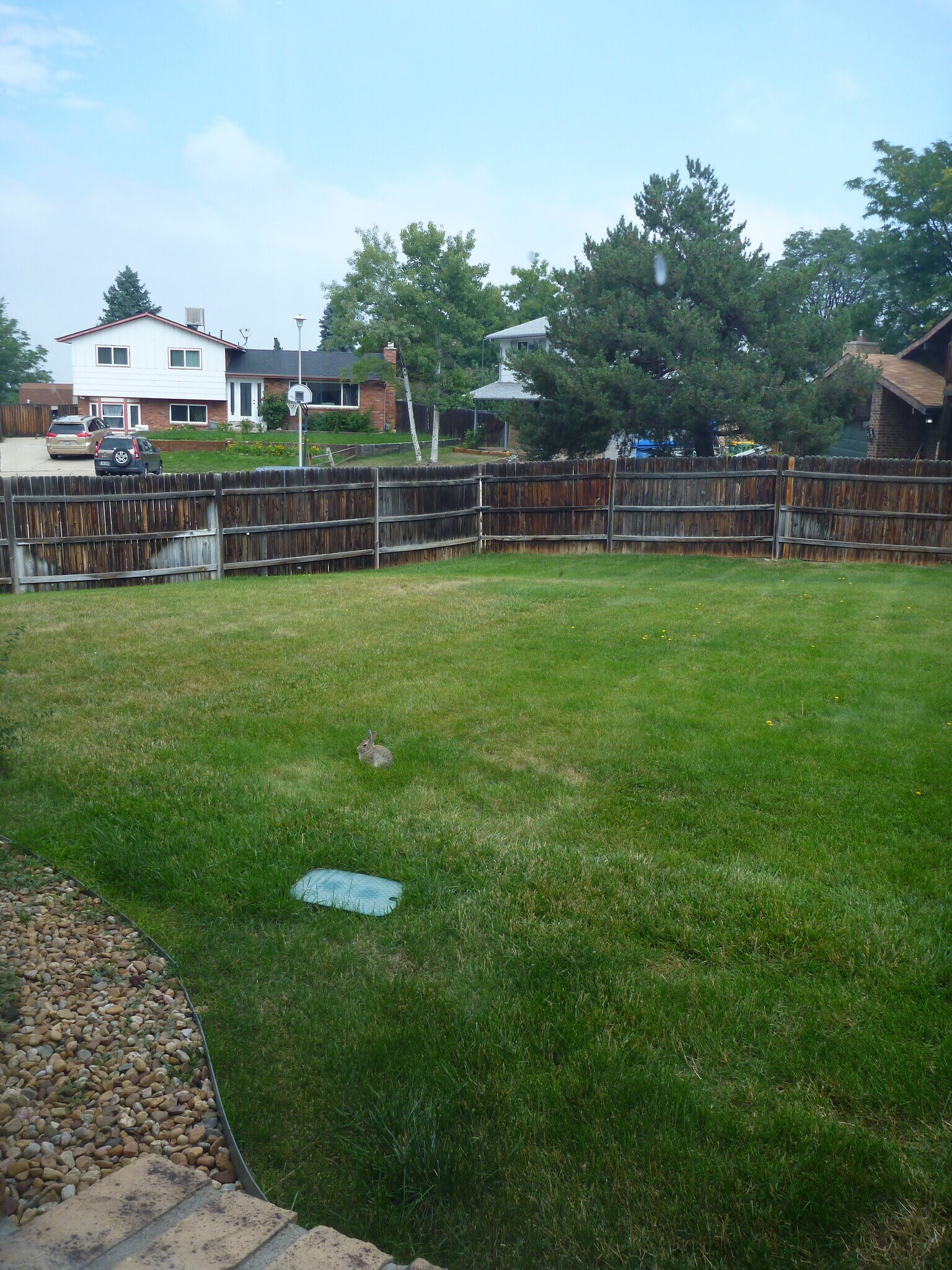 Large fenced back yard - 3725 95th W Pl