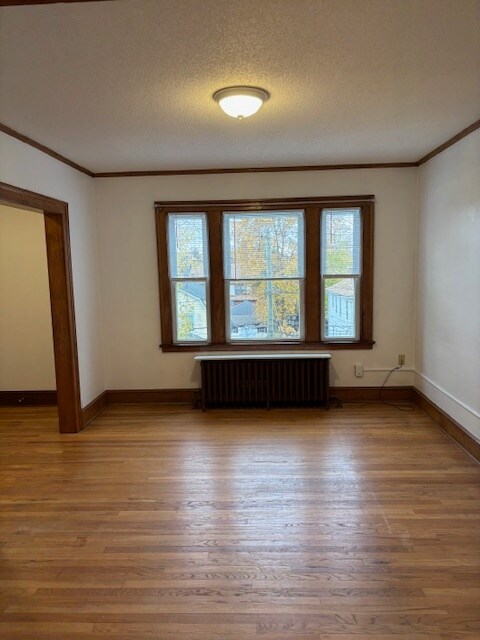 Living Room - 34 Nesbit Ave