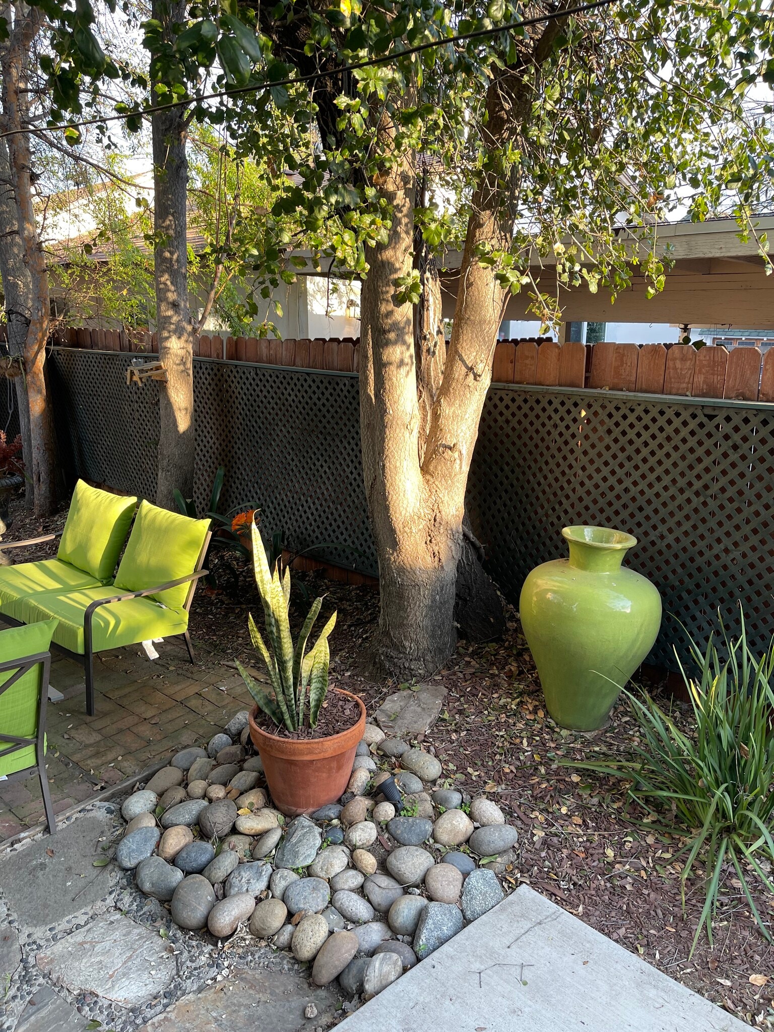 Common patio area - 1431 1/2 N Allen Ave