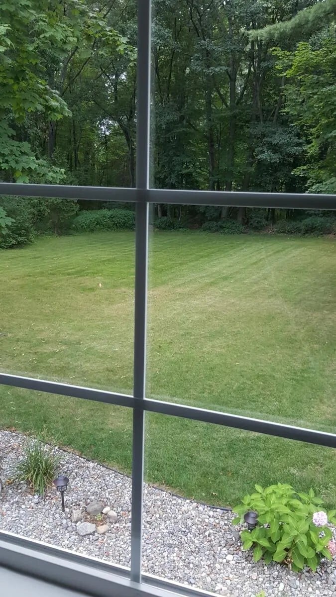 Back yard view from loft - 91 Waterman Ave