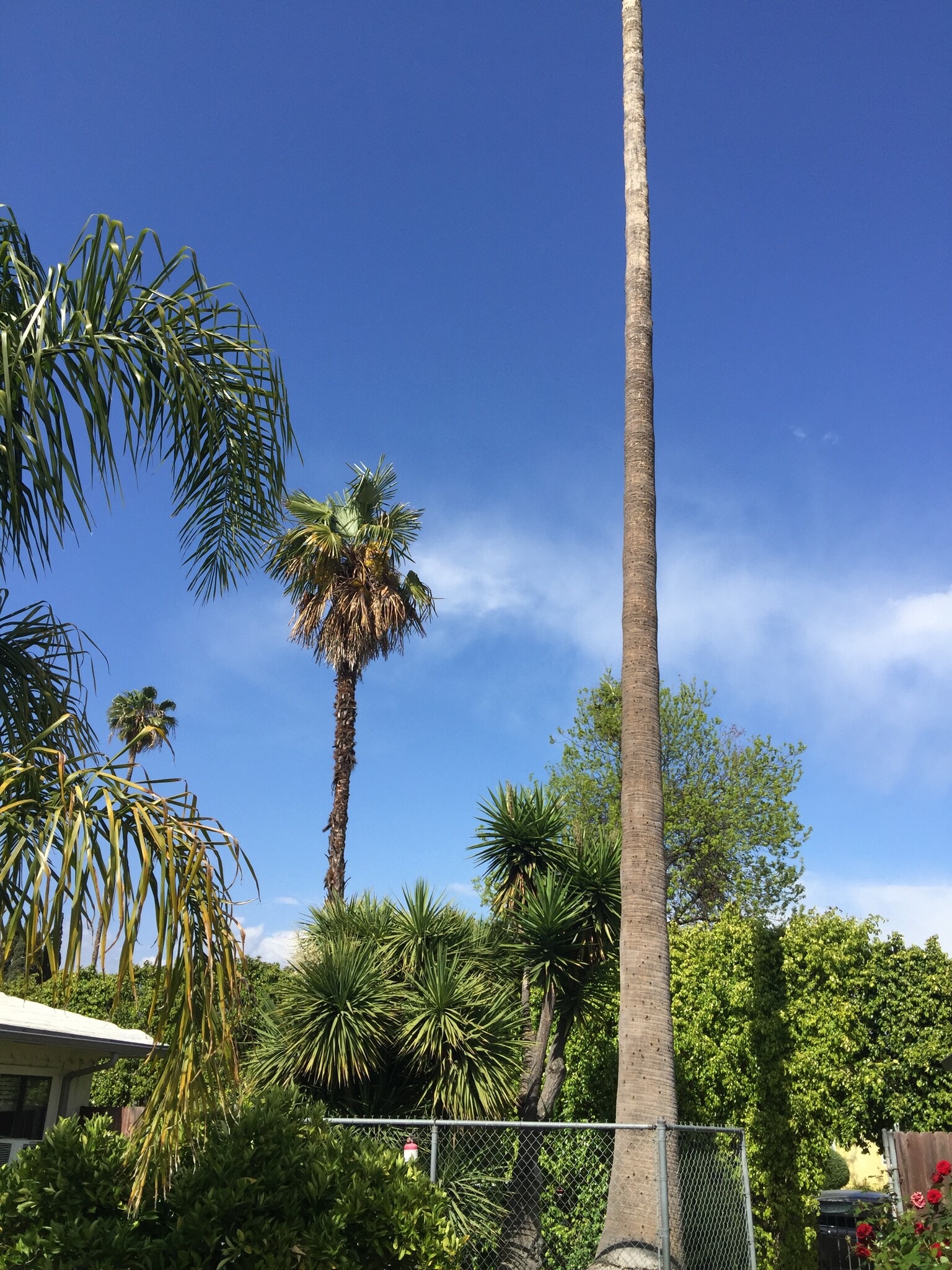 Building Photo - 263 N Florence St