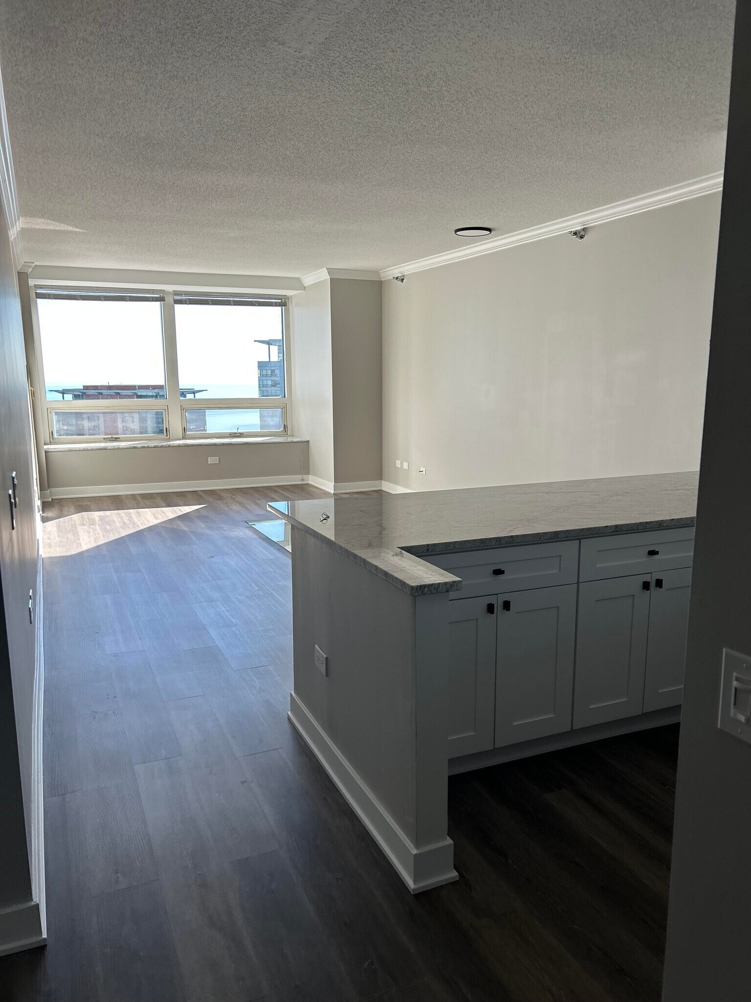 Living Room - 512 N McClurg Ct