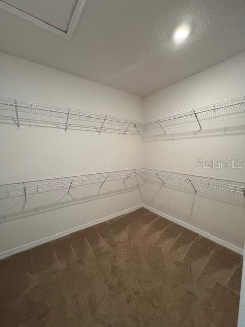 Building Photo - 15037 Black Scoter Dr
