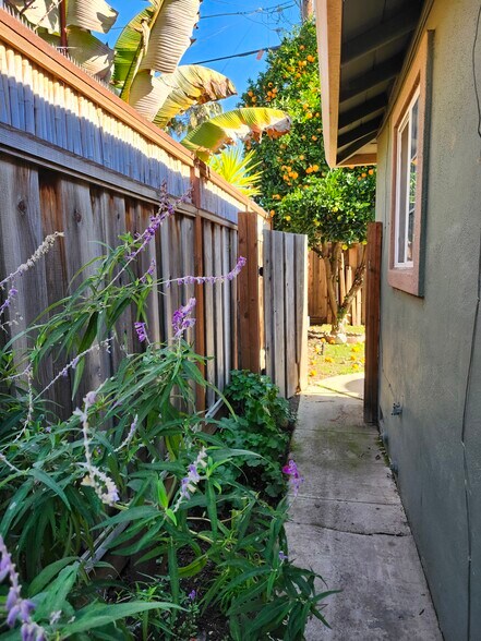 Building Photo - 444 Doma Dr