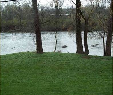 Building Photo - Waterfront Apartments