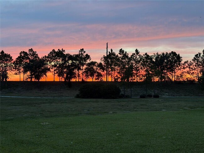 Building Photo - 6154 Hamlin Reserve Blvd