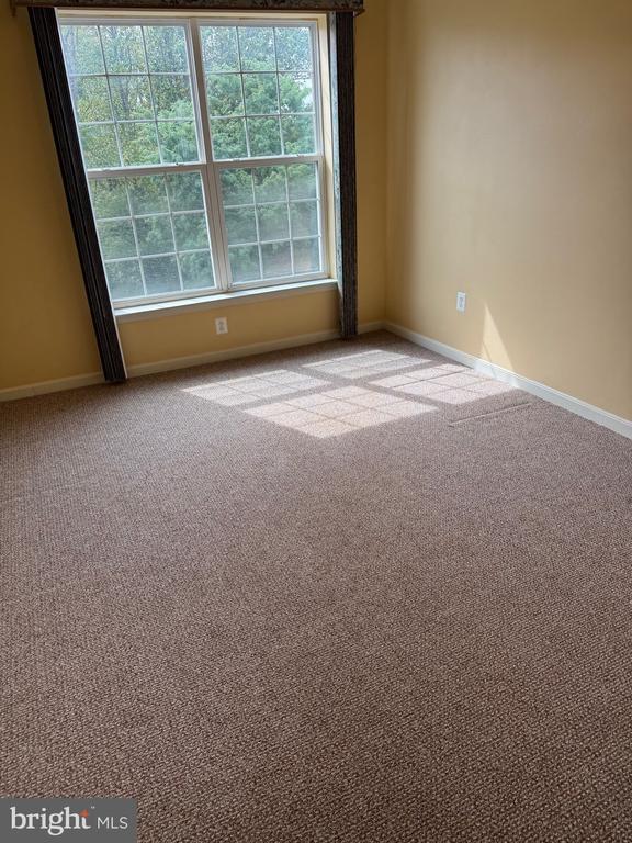 Building Photo - 4310 Lydia Hollow Dr