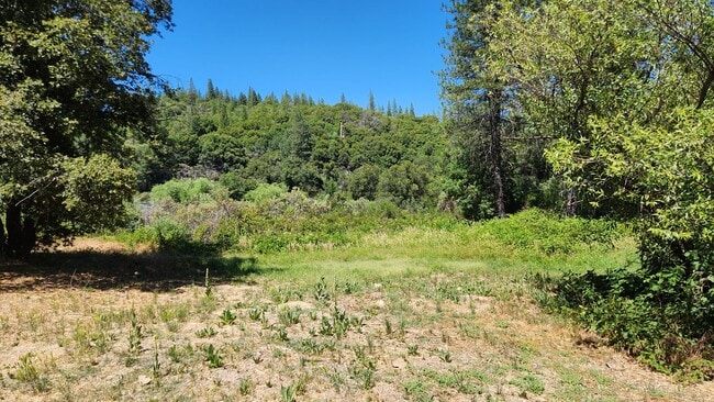 Building Photo - Lovely cottage home located minutes from Yuba divide