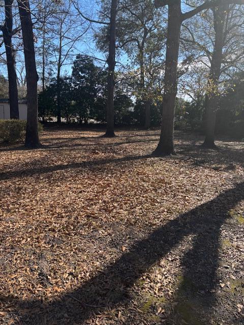 Building Photo - 17 Sam Smith St