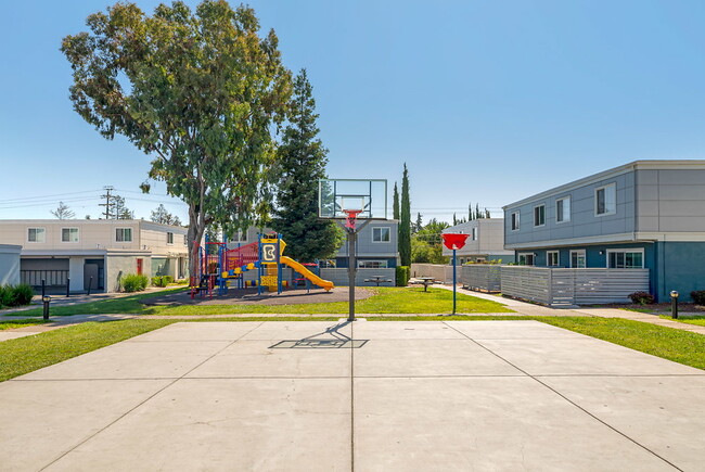 Building Photo - The Pointe at Cupertino