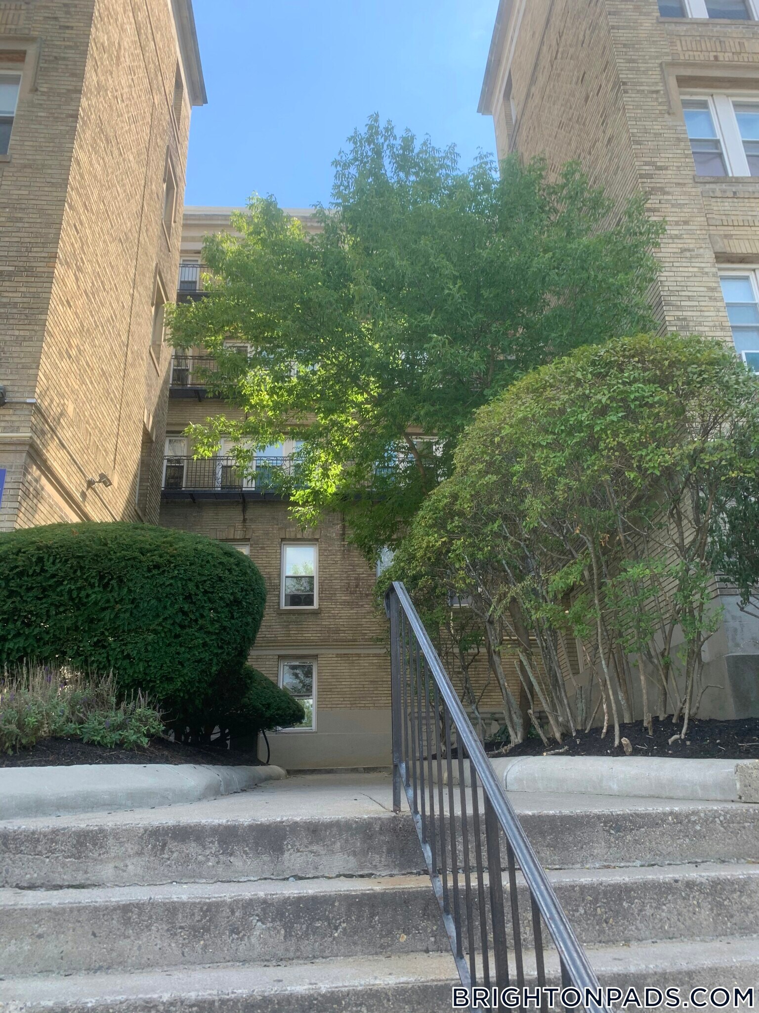 Building Photo - 1630 Commonwealth Ave