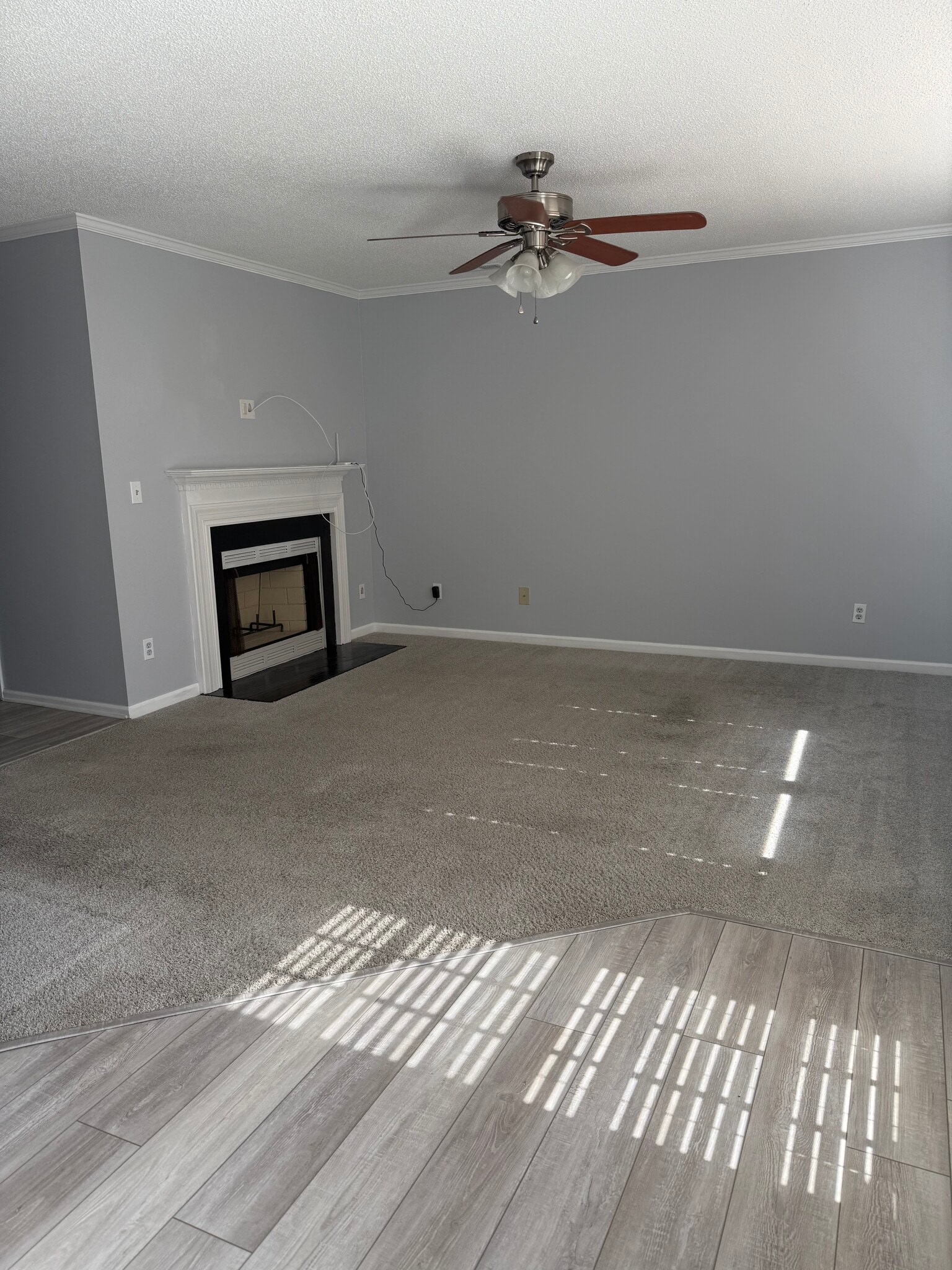 Building Photo - 2728 Sawgrass Ct