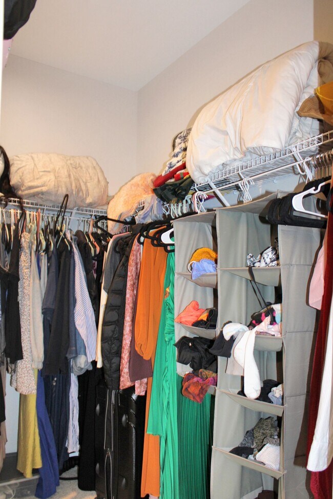 Building Photo - One-Room in shared condo