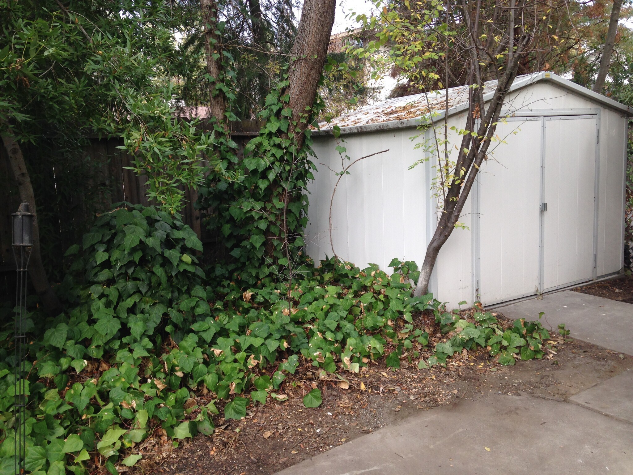 Building Photo - 541 Lily St