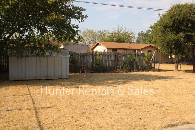 Building Photo - Mountain of Amenities!