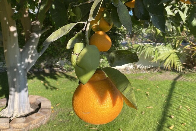 Building Photo - 50500 Cypress Point Dr