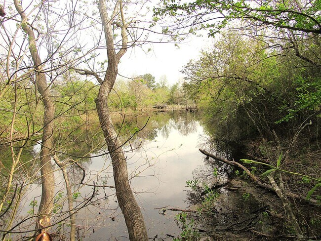 Building Photo - Conveniently Located Northeast Houston Are...