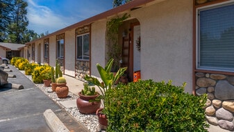 Building Photo - 6239 Pecan Ave