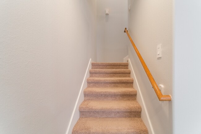 Building Photo - 262 Liriope Ct