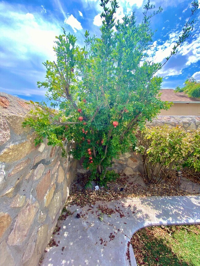 Building Photo - 14214 Lasso Rock Dr