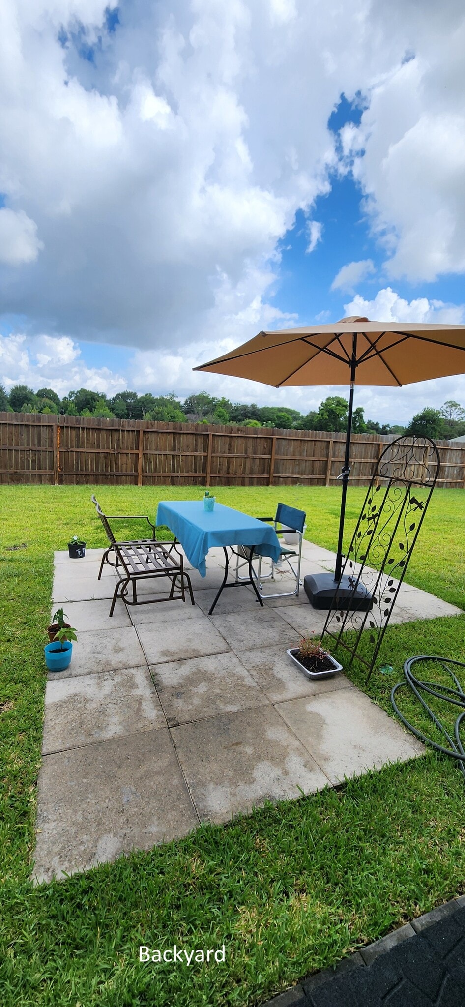 Backyard - 3502 Park Vista Dr