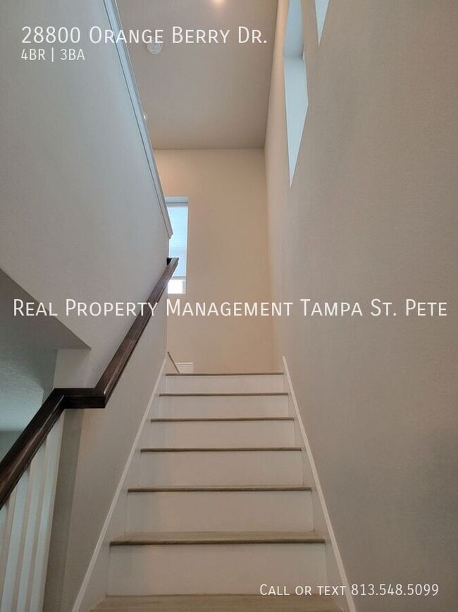 Building Photo - 28800 Orange Berry Dr