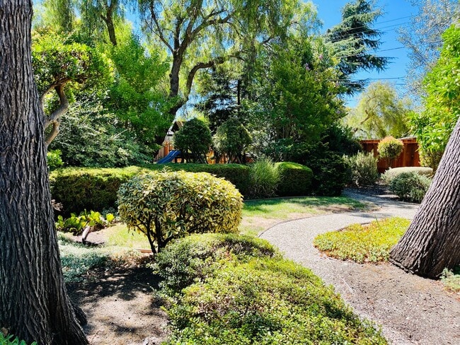Building Photo - Stunning 4 Bed 2 Bath Eichler near Midtown...