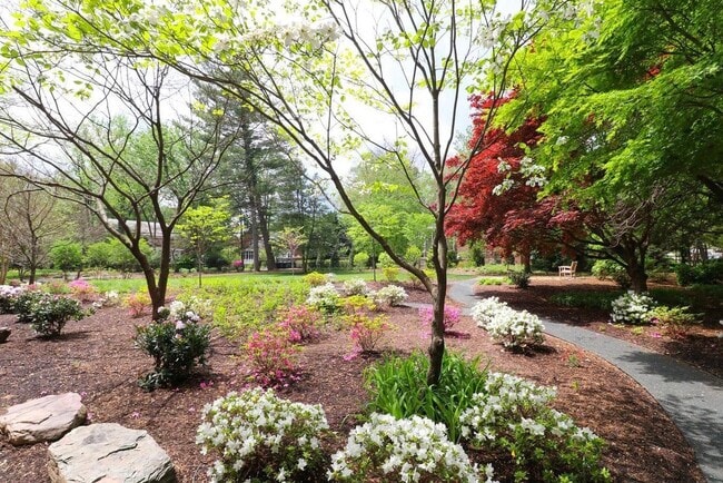 Private park / backyard - 4600 Connecticut Ave NW