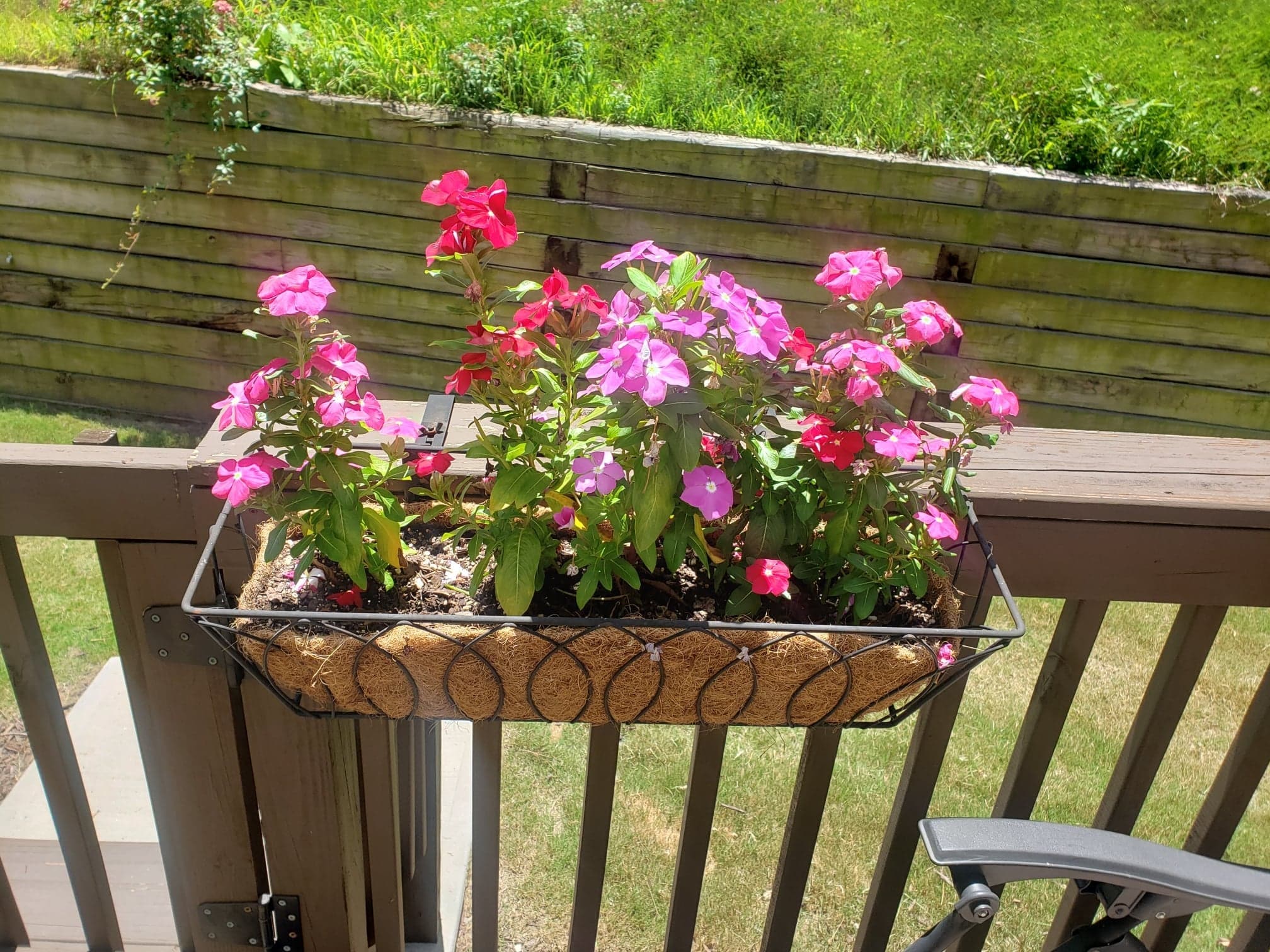 Building Photo - 1256 Liberty Pkwy NW